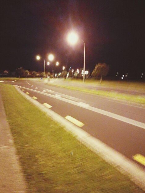 Dog on road at night