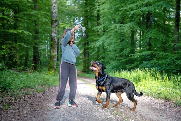 A dog of the rottweiler breed tries to catch a ball held by a little girl in a forest