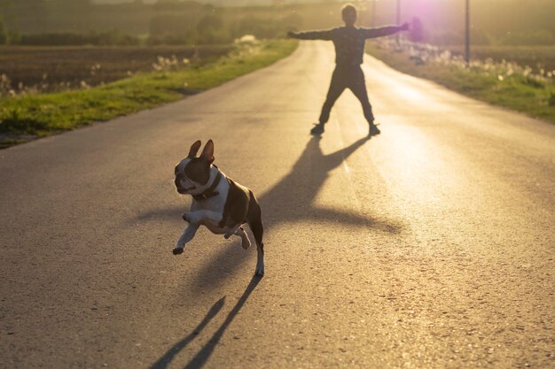 Photo dog running on street against boy