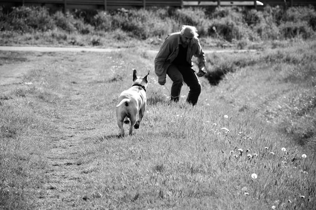 Фото Собака бежит к человеку на травяном поле.