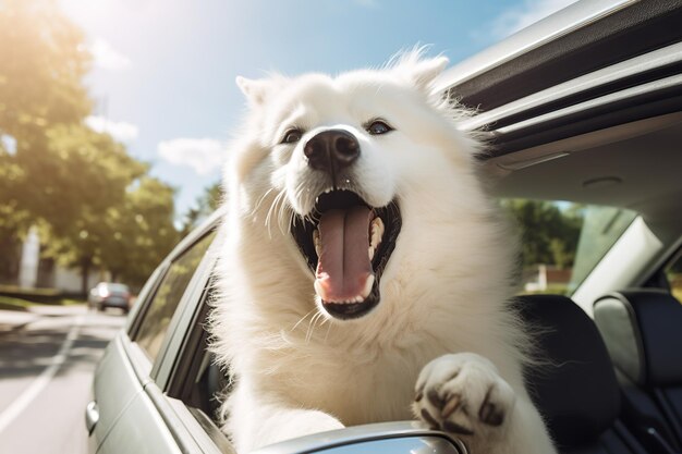 車の座席に座っている犬が窓から頭を突き出している