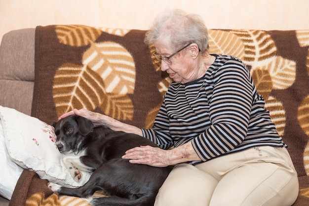 Foto cane seduto sul divano a casa