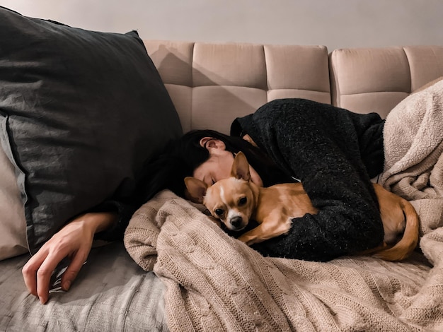 Foto cane che dorme sul divano a casa