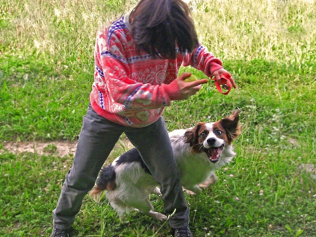 草原に立っている犬