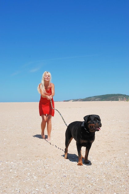 Dog standing on land against sky