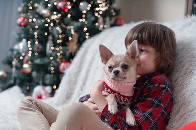 Dog in sweater hug child's at Christmas.