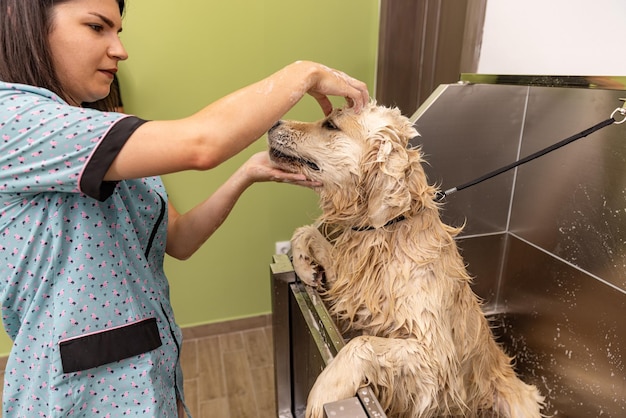 Dog taking a bubble bath