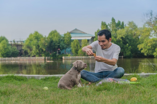 L'addestratore di cani sta addestrando un cucciolo di cane bullo