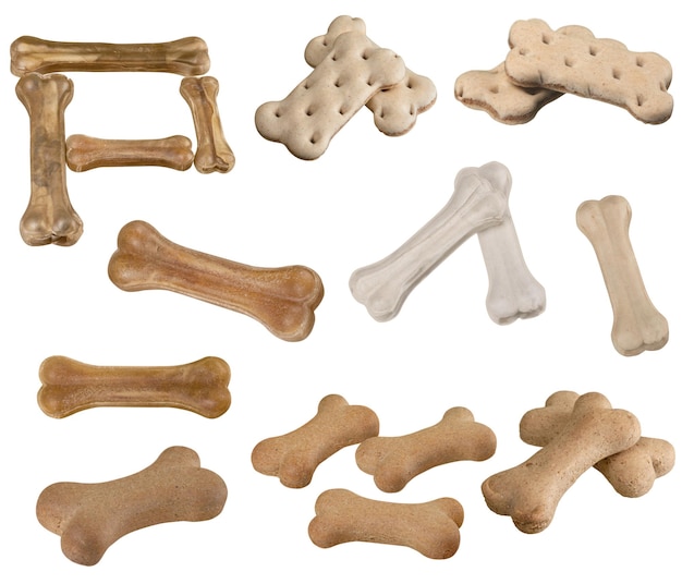 Photo dog treat chewing bones and cookies isolated on white