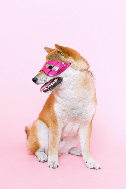 a dog wearing a pink goggles and a pink mask