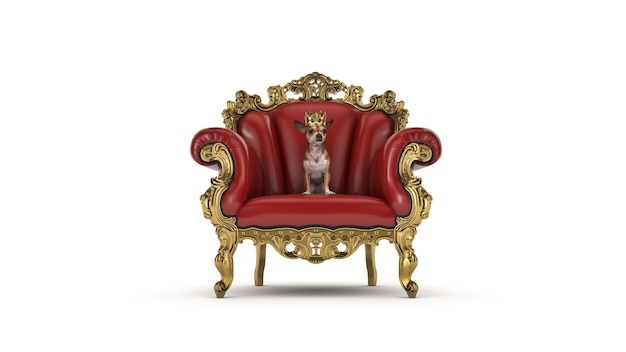 Dog with crown in a chair 3d rendering