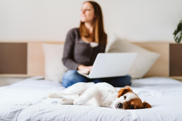 背景のベッドでラップトップを使用している女性の犬