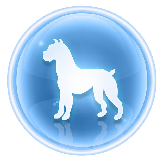 Photo dog zodiac icon ice