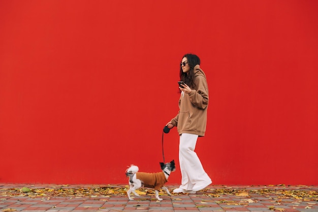 dogowner in casual attire and sunglasses is walking her little pet yorkie strolling the city street