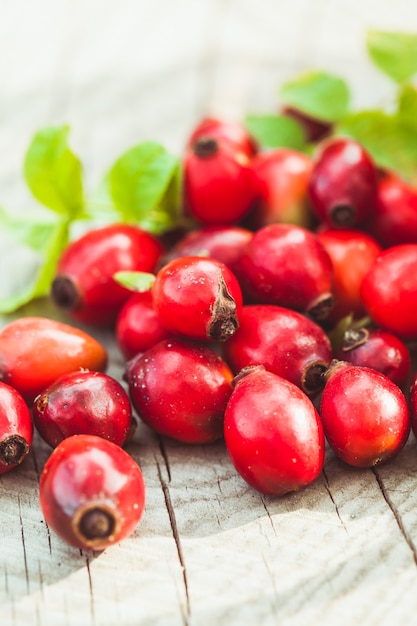 Dogrose fruits on the wooden table close up