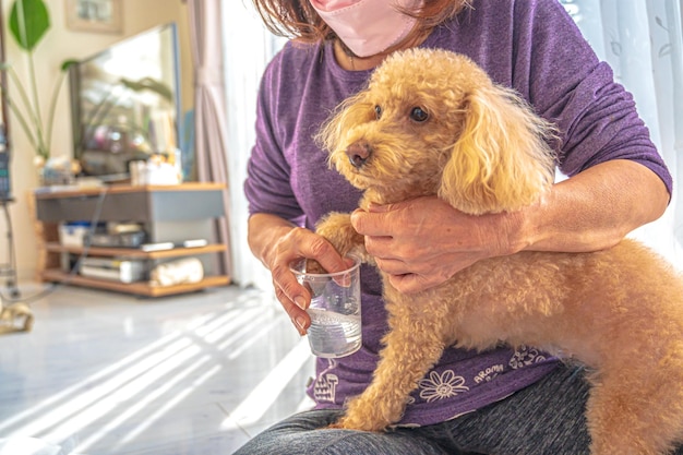 薬を飲んでいる犬