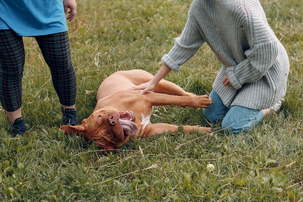 야외 공원에서 젊은 여성과 함께 Dogue de Bordeaux 또는 French Mastiff.