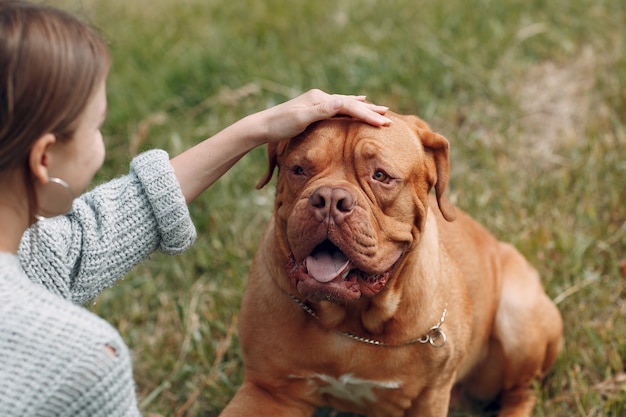 야외 공원에서 젊은 여성과 함께 Dogue de Bordeaux 또는 French Mastiff.