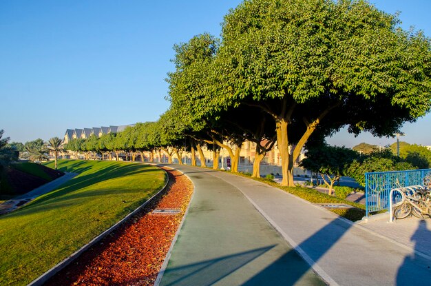 Foto doha qatar februari 2024 het aspire park in doha sports city bij morning doha qatar middleeas