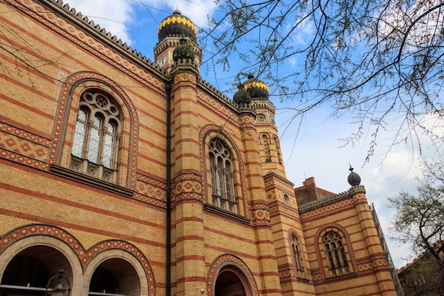 도하니 거리 회당 (영어: Dohany Street Synagogue) 은 가리의 부다페스트에 있는 대회당 (Great Synagogue or Tabakgasse) 이라고도 불린다.