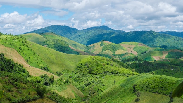 Doi Chang mountains of Chiang Rai Northern Thailand