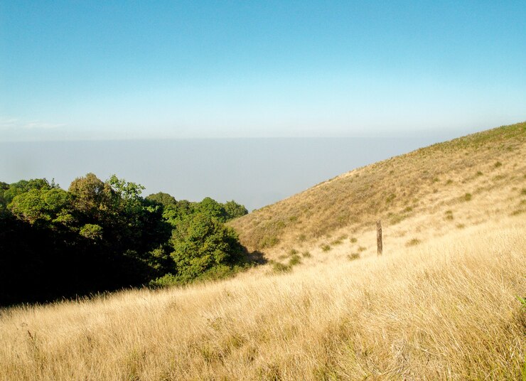 doi in inanon nationaal park chiangmai, Thailand