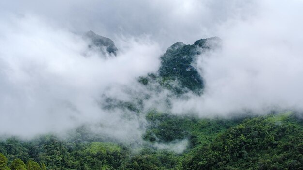 Doi Luang Chiang Dao bergheuvels in Chiang Mai Thailand Natuurlandschap