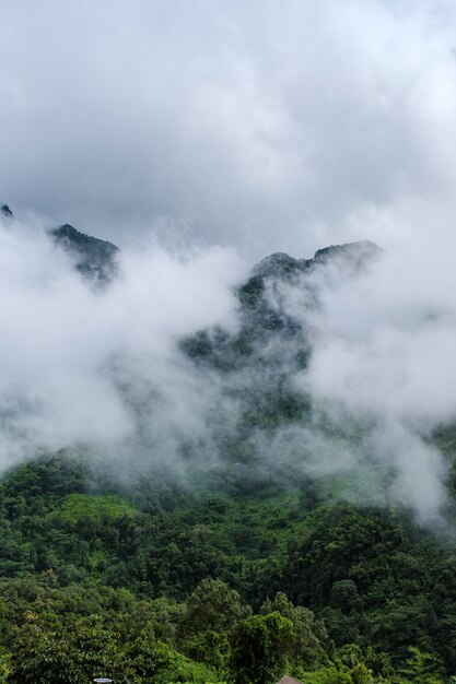 Doi Luang Chiang Dao mountain hills in Chiang Mai Thailand Nature landscape