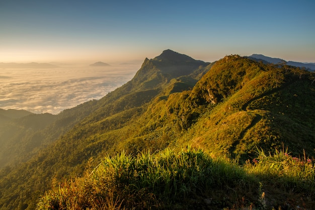 Vista superiore di chiang rai di tang di do di doi in tailandia