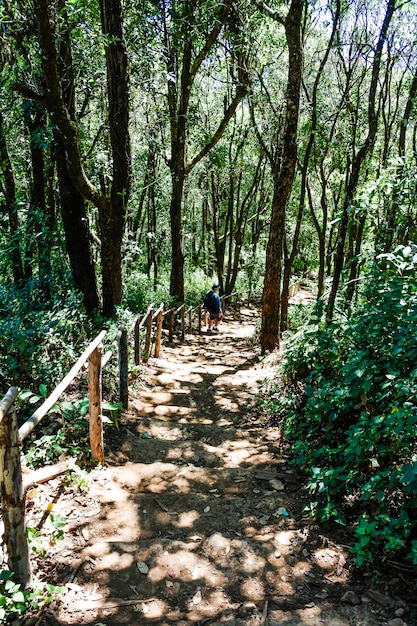 Foto punto di vista del moutain di doi pui ko a mae hong son, tailandia.