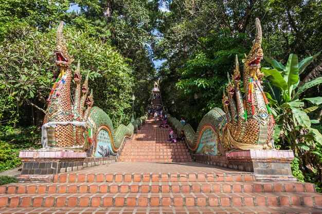 Doi Suthep-tempel, Chiang Mai in Thailand