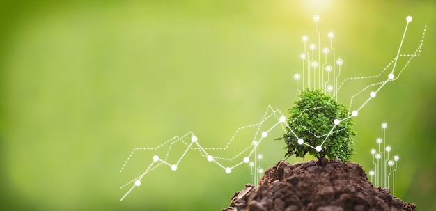 doing csr by planting trees, csr concept and business planting saplings of trees