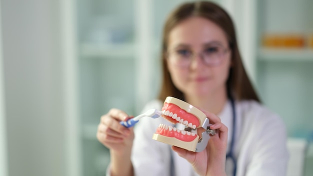 Dokter die een kunstmatig model van menselijke kaak en tandenborstel toont voor de preventie van cariës close-up