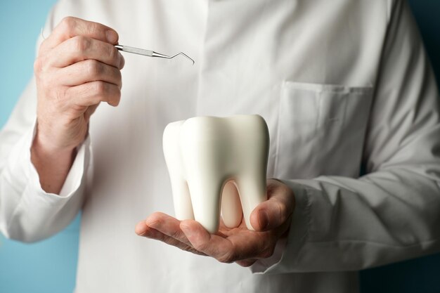 Dokter met de hand houdt wit tandmodel op een blauwe achtergrond