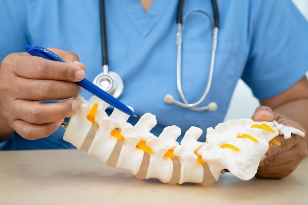Dokter met lumbale wervelbeenskelet en zenuwmodel voor behandeling in de orthopedische afdeling