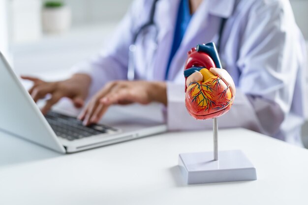 Dokter raadpleegt patiënt op laptop met anatomisch model van menselijk hart Cardioloog ondersteunt het hart Online doktersafspraak