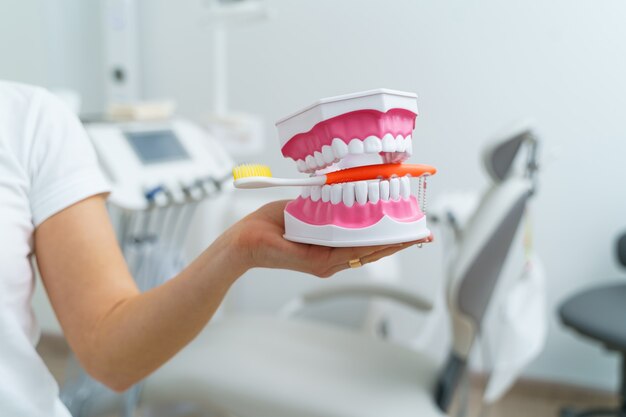 Dokter toont op een plastic kaakmonster of model verschillende methoden van tandbehandeling. Moderne tandheelkundige kliniek achtergrond. Roze medische handschoenen aan de handen van de dokter. Tandenborstel in kaak.