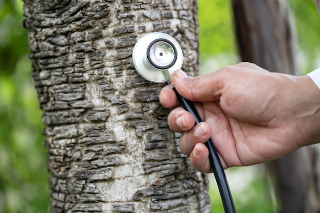 Dokter-wetenschapper met een fles met een druppel kruidenolie, biologie en ecologie, alternatieve natuurgeneeskunde