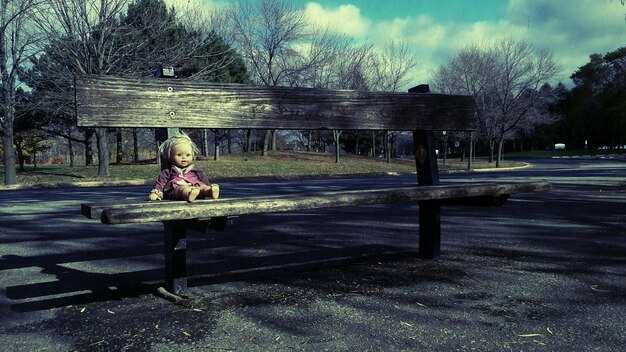 Photo doll on bench in park