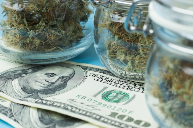 Dollar biljet geld en cannabis in potten close-up Marihuana bedrijfsconcept