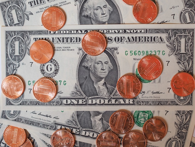 달러 동전과 지폐
