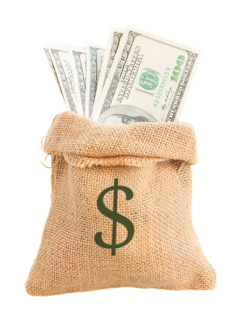 Dollar money in sack bag isolated