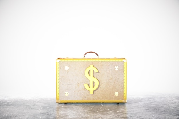 Dollar suitcase on white background