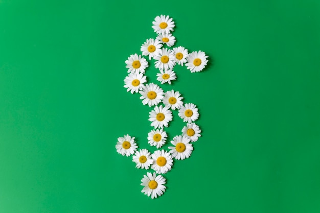 Dollar symbol made of daisies on a green background