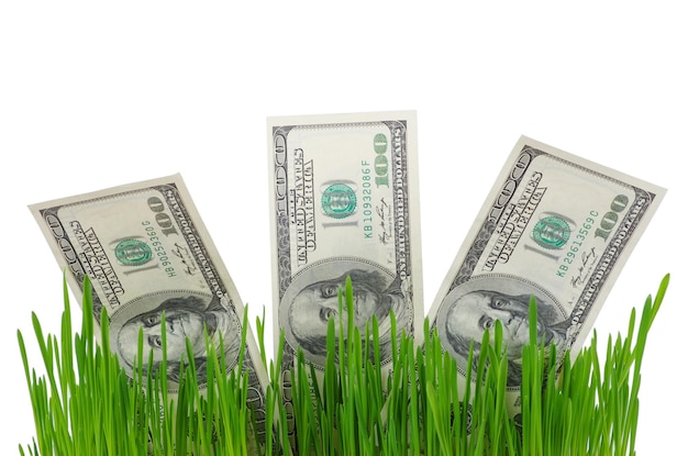 Dollarbiljetten in gras