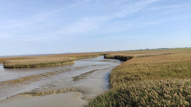 Dollard nieuwe statenzijl contrast north sea