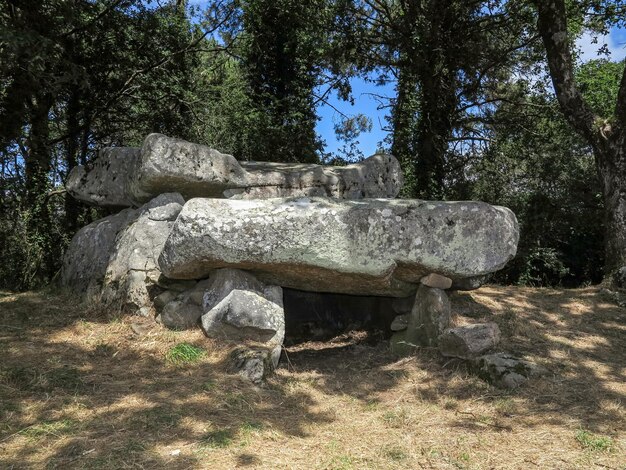 Photo dolmen de roch-feutet near carnac in britanny