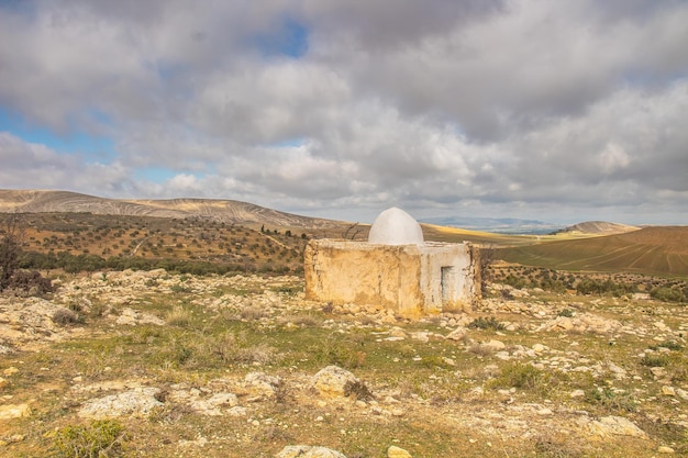 Foto dolmen nella tunisia occidentale les megalithes d'elles kef tunisia