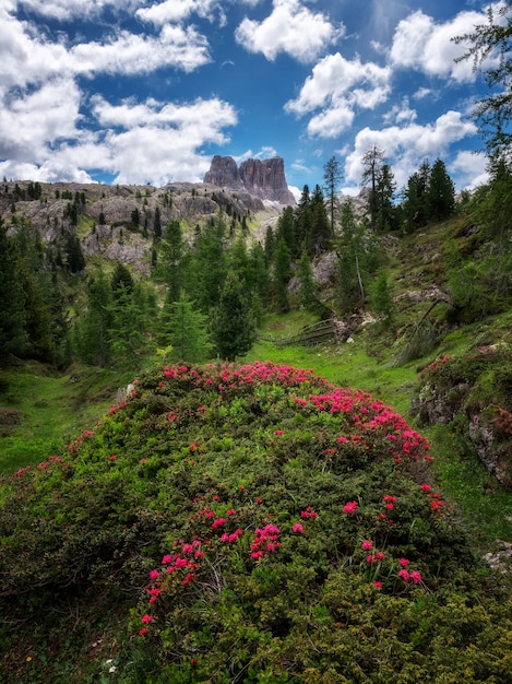 Photo dolomites falzarego