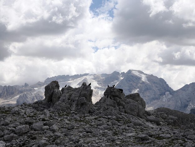 dolomites marmolada glacier view from corvara panorama